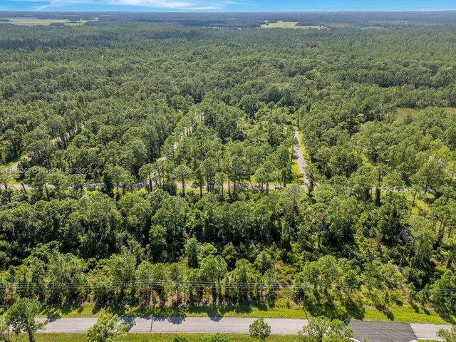 an aerial view of residential houses with outdoor space and trees
