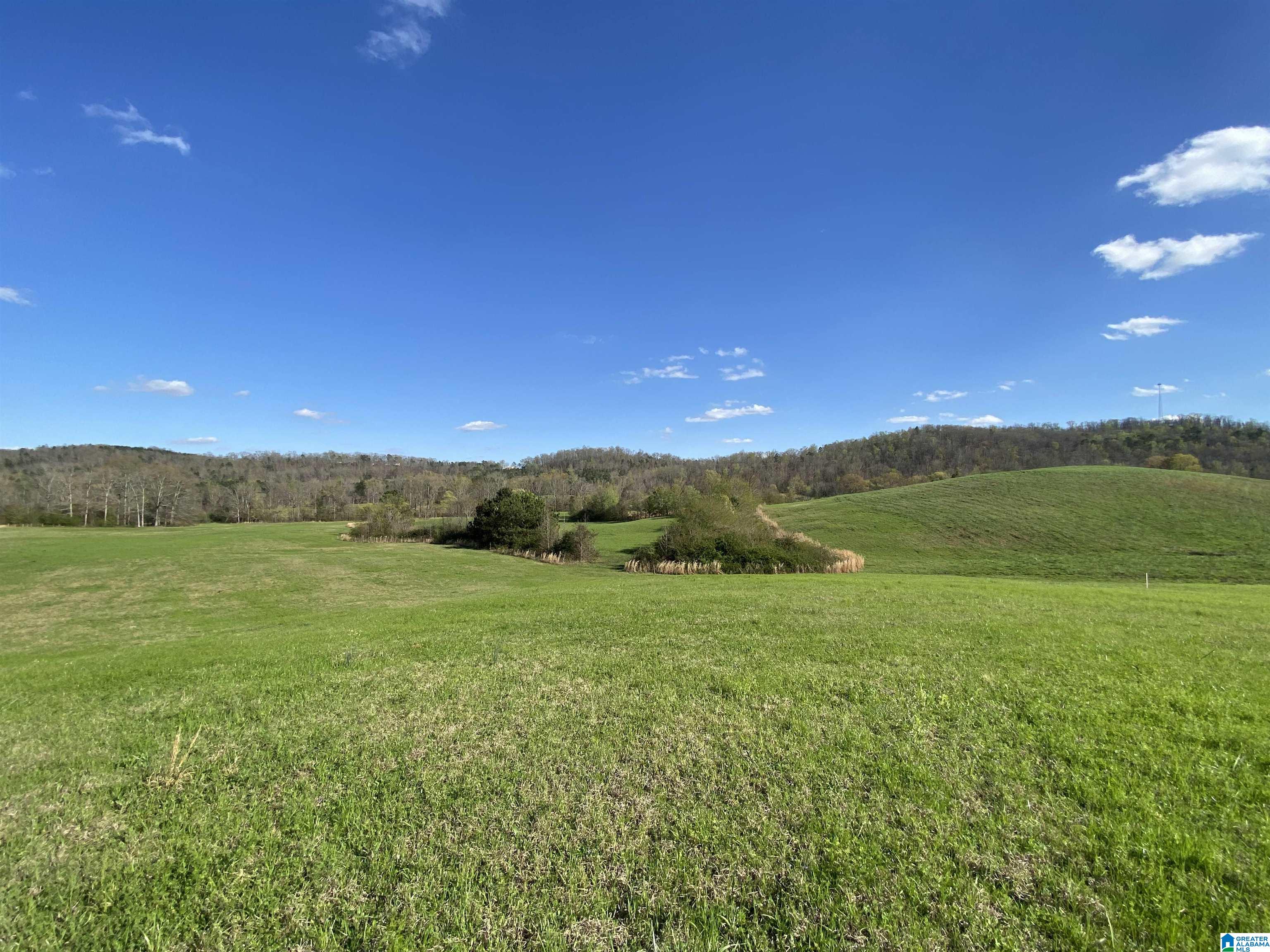 6405 Highway 174, Unit TRACT 2 Springville, AL 35146 - Photo 5 of 14