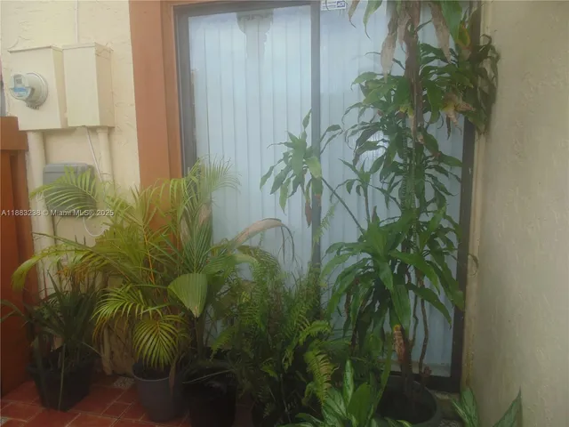 a close up of a plant in a garden