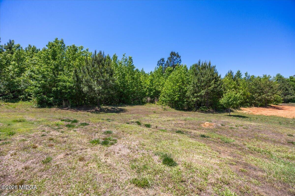 261 Blounts Chapel Road Haddock, GA 31033 - Photo 36 of 36 37-5W7A8308