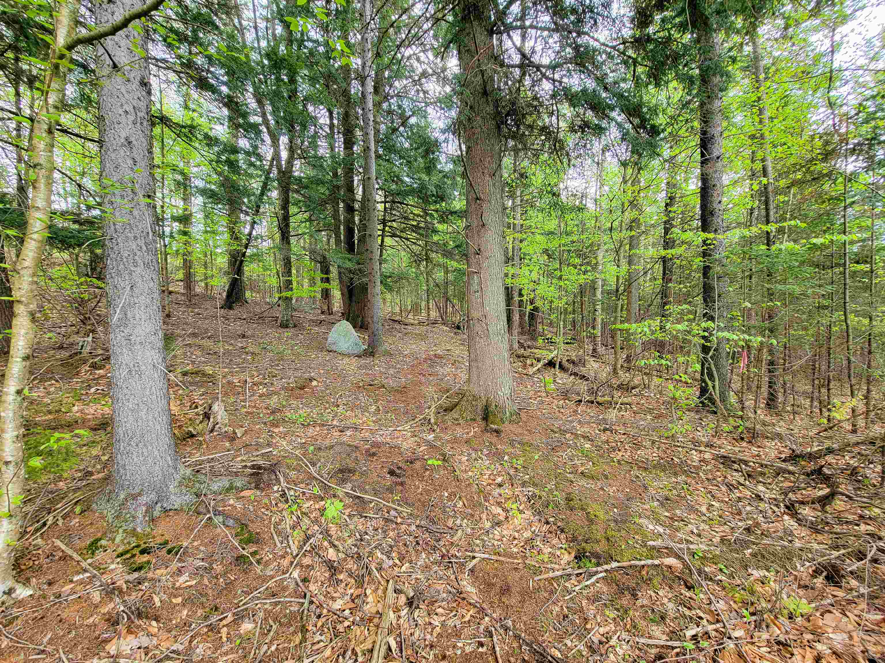 720 Brookview Lane Wolcott, VT 05680 - Photo 21 of 48