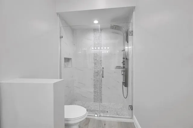 a bathroom with a shower and a toilet