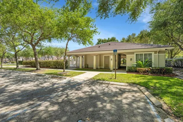 a view of a park with potted plants and palm trees