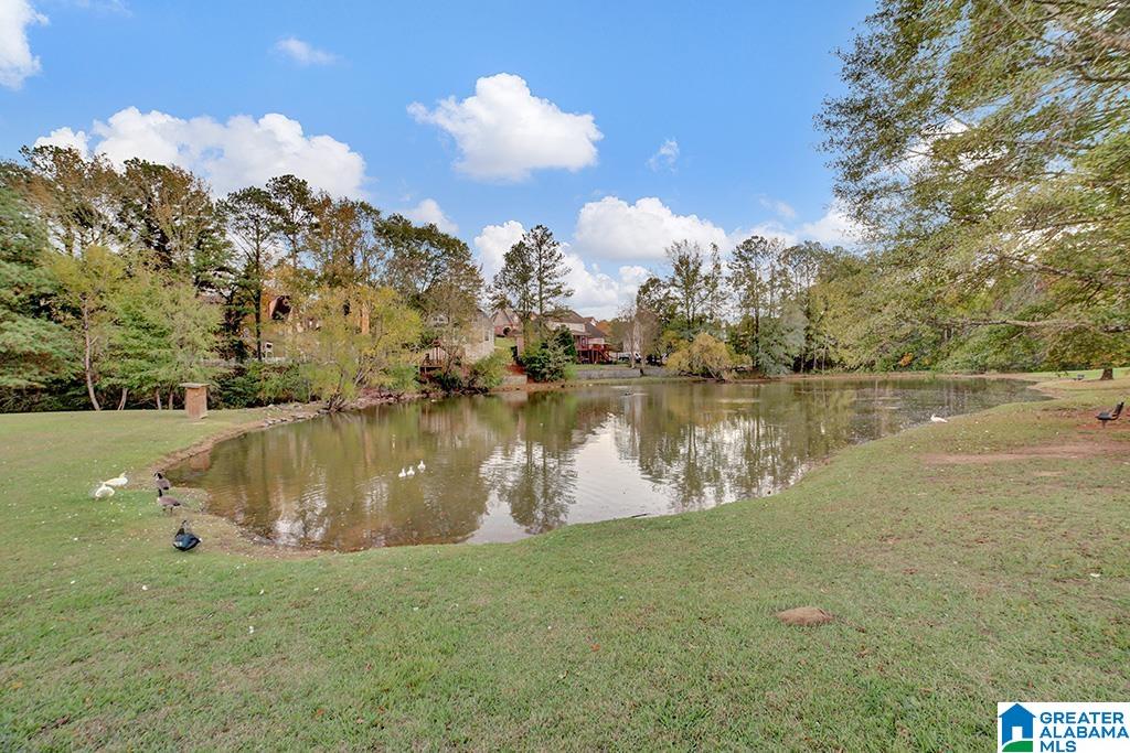 1114 Park View Birmingham, AL 35244 - Photo 47 of 50