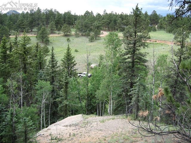 2130 Pathfinder Road Florissant, CO 80816 - Photo 29 of 32 Gallery Image 29
