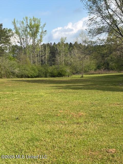 5702 Rollinson Road Liberty, MS 39645 - Photo 31 of 40 IMG_0121