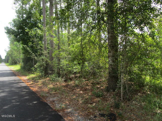 0 Elmer Hamilton Road Moss Point, MS 39562 - Photo 1 of 4 012