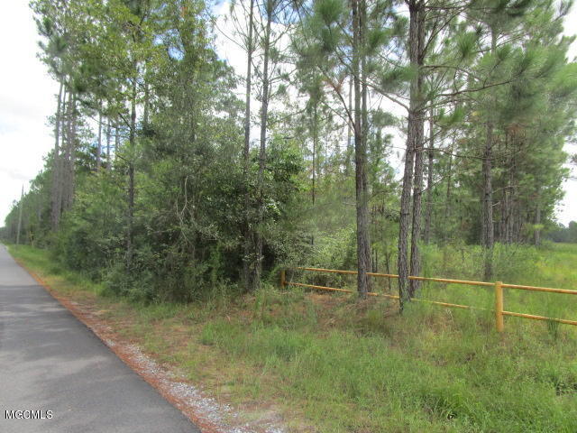 0 Elmer Hamilton Road Moss Point, MS 39562 - Photo 2 of 4 007
