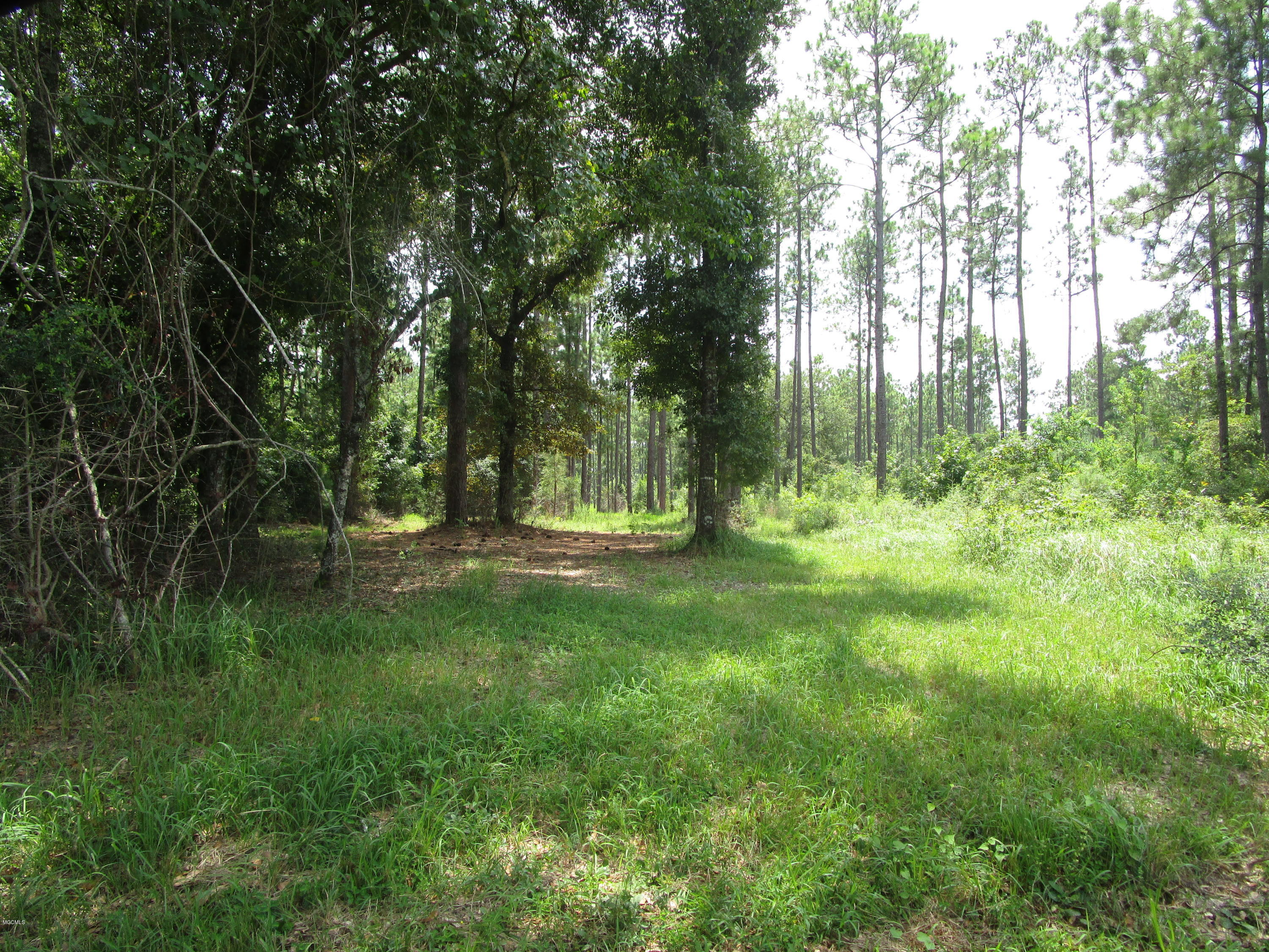 0 Elmer Hamilton Road Moss Point, MS 39562 - Photo 3 of 4