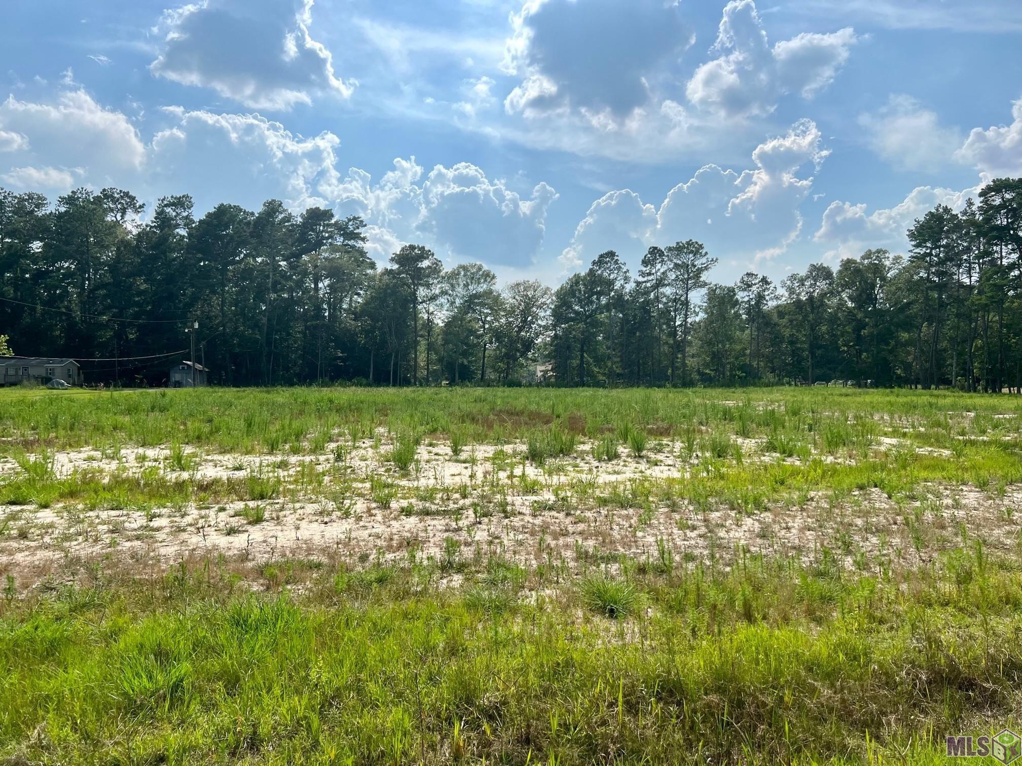 32141-32143 Butch Bennett Road Walker, LA 70785 - Photo 1 of 3 Gallery Image 1