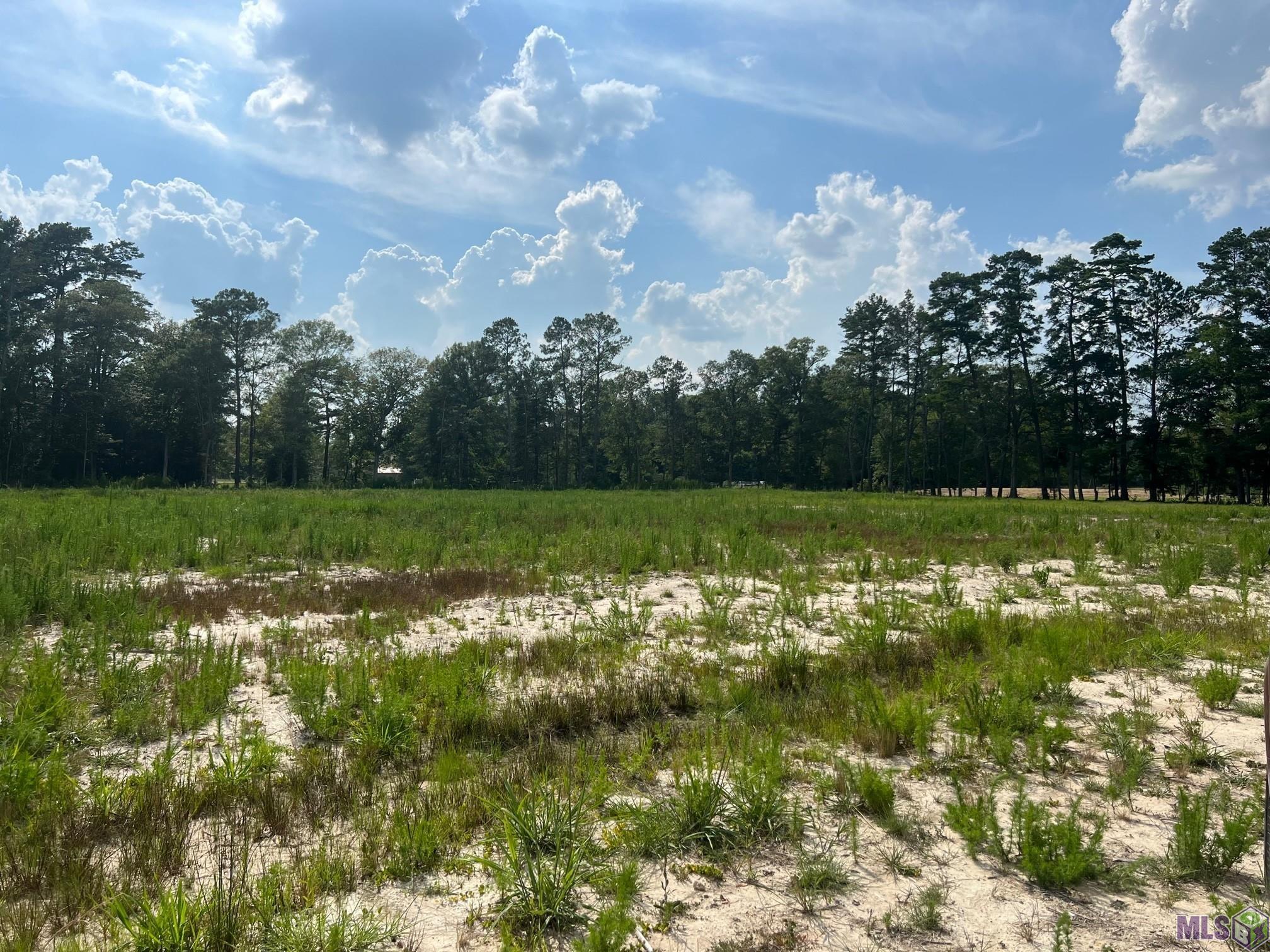 32141-32143 Butch Bennett Road Walker, LA 70785 - Photo 2 of 3 Gallery Image 2