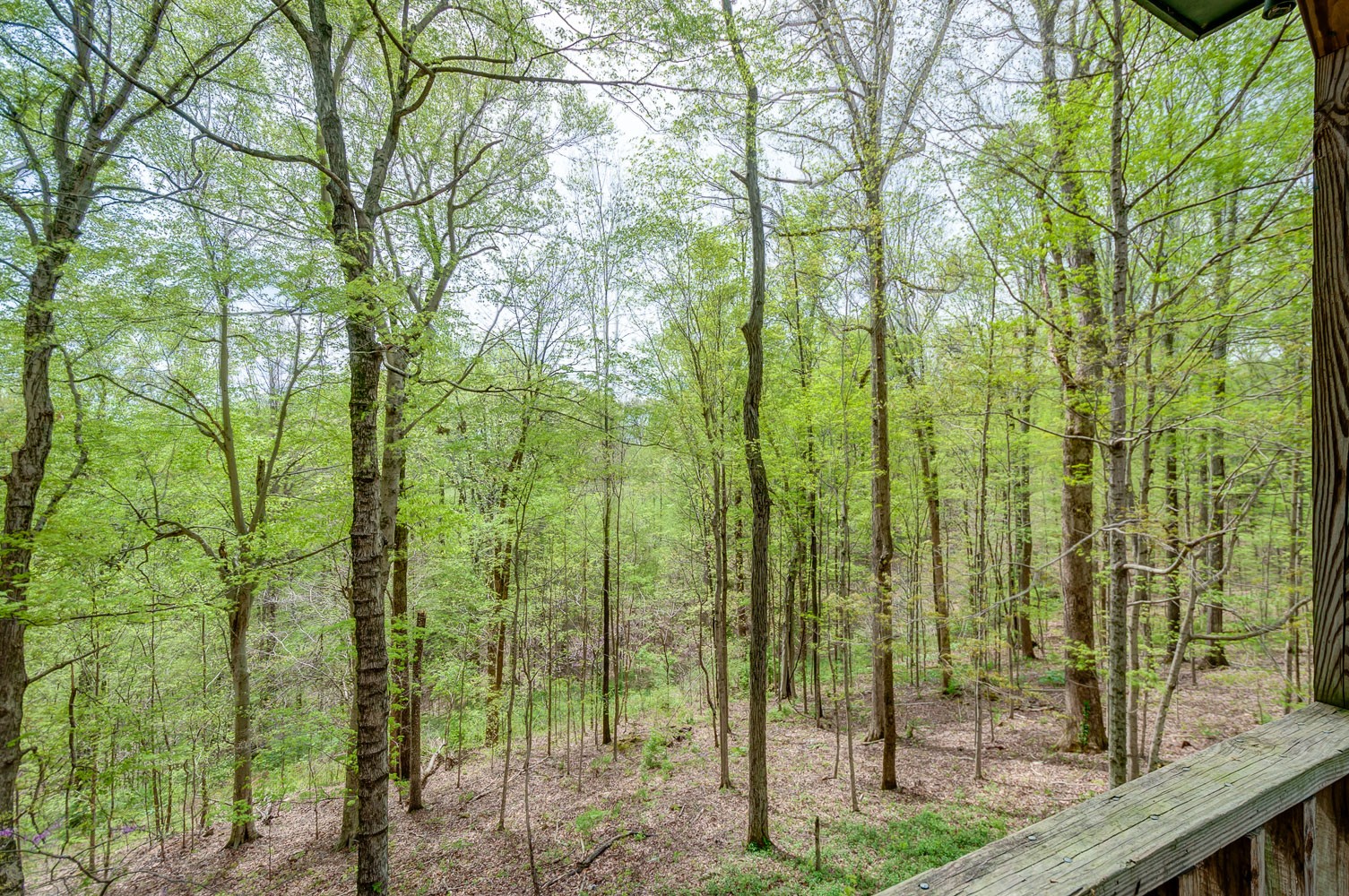 1136 Dora Whitley Road Franklin, TN 37064 - Photo 37 of 37 a view of a garden