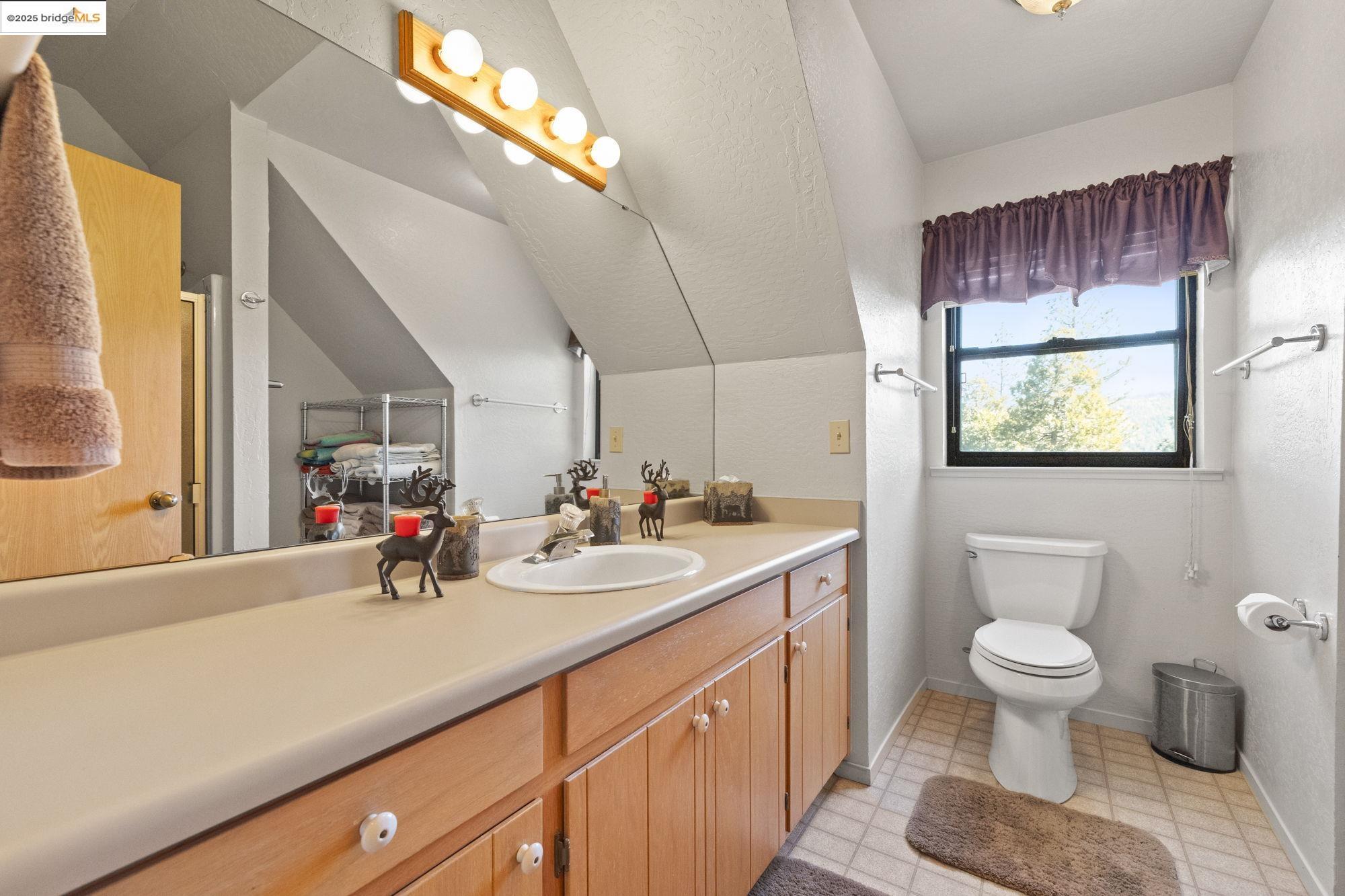29803 West Mono Road Cold Springs, CA 95335 - Photo 16 of 51 a bathroom with a sink a toilet and a mirror