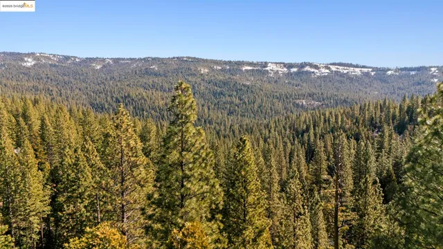 a view of a house with a tree