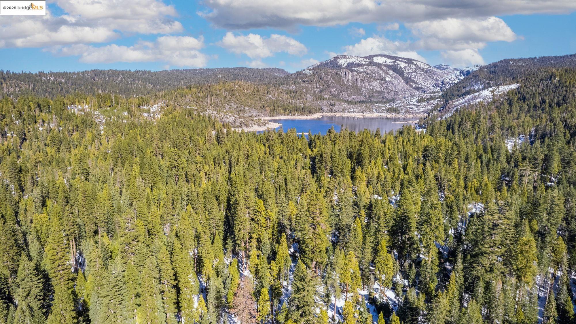 29803 West Mono Road Cold Springs, CA 95335 - Photo 51 of 51 a view of a bunch of trees and buildings