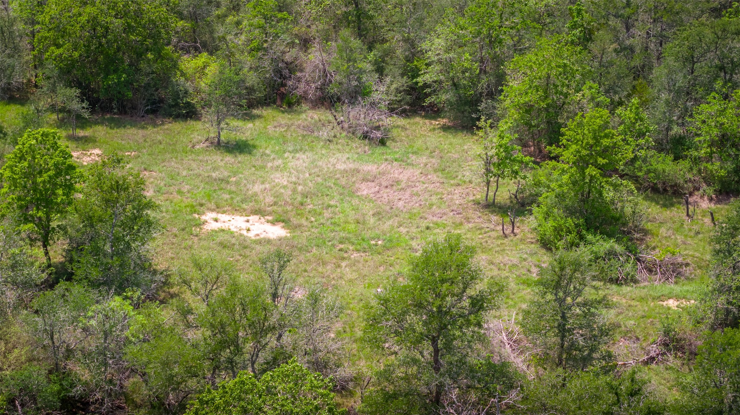 4082 Old Colony Line Road Lockhart, TX 78644 - Photo 34 of 40 A verdant, undeveloped lot presents an ideal canvas for custom home construction.