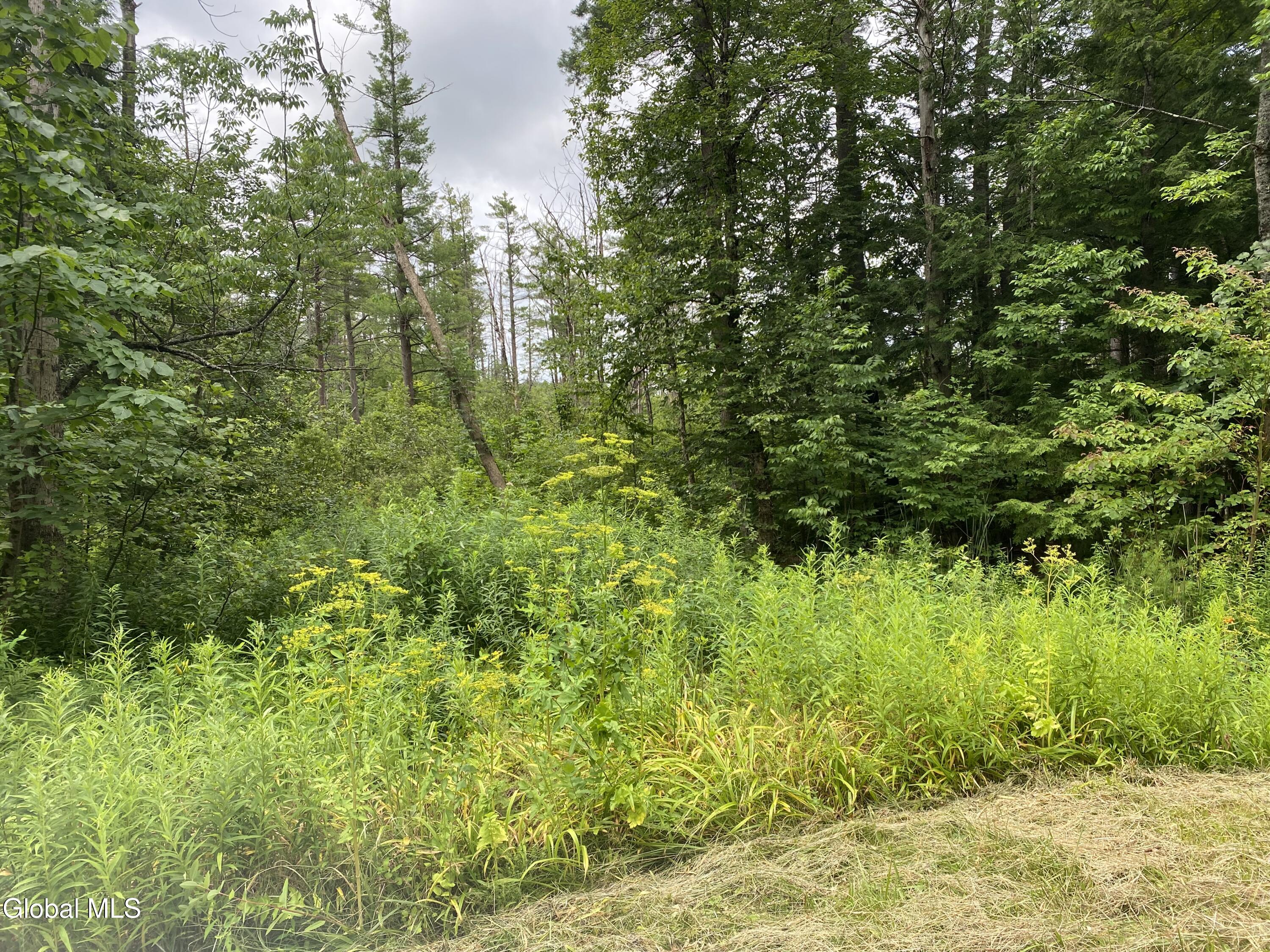 L43 State Highway Fort Plain, NY 13339 - Photo 2 of 12 IMG_5220