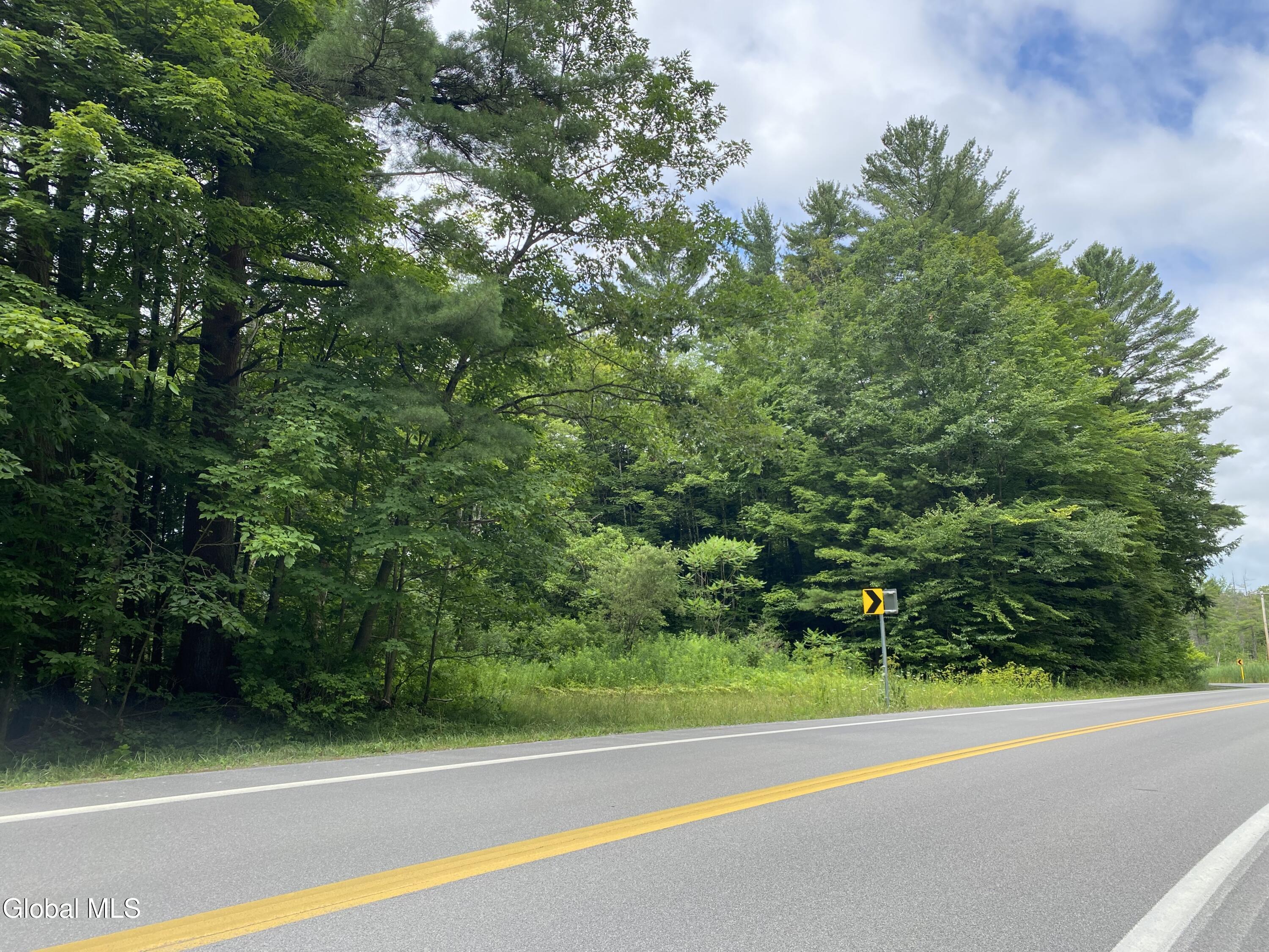 L43 State Highway Fort Plain, NY 13339 - Photo 3 of 12 IMG_5221