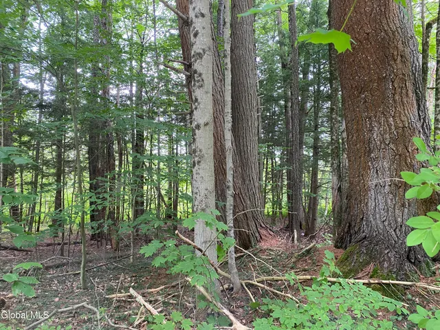 $32,000 | L43 State Highway, Fort Plain, NY 13339