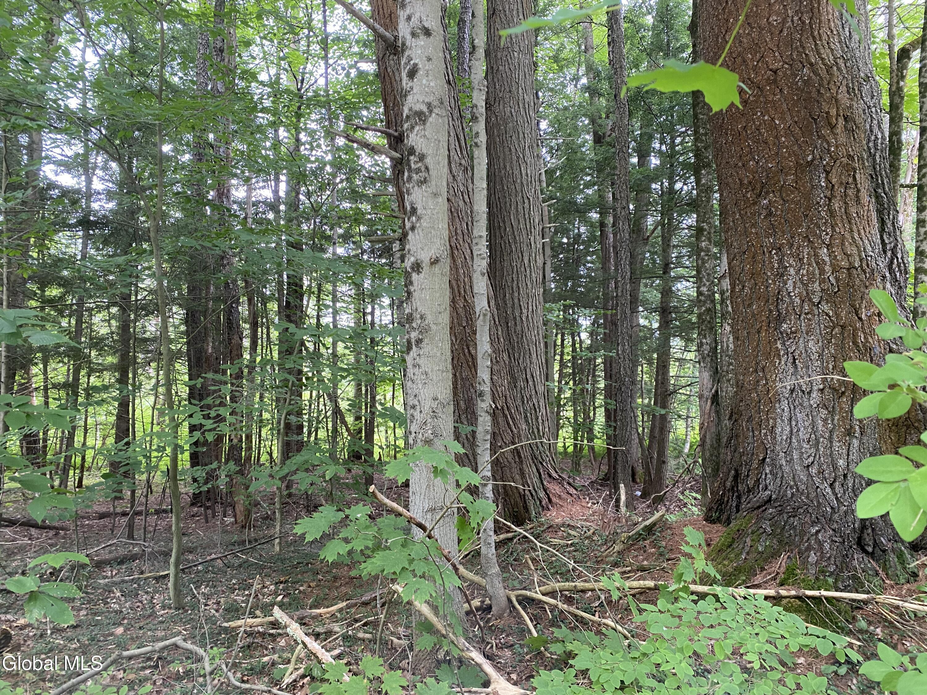 L43 State Highway Fort Plain, NY 13339 - Photo 4 of 12 IMG_5228