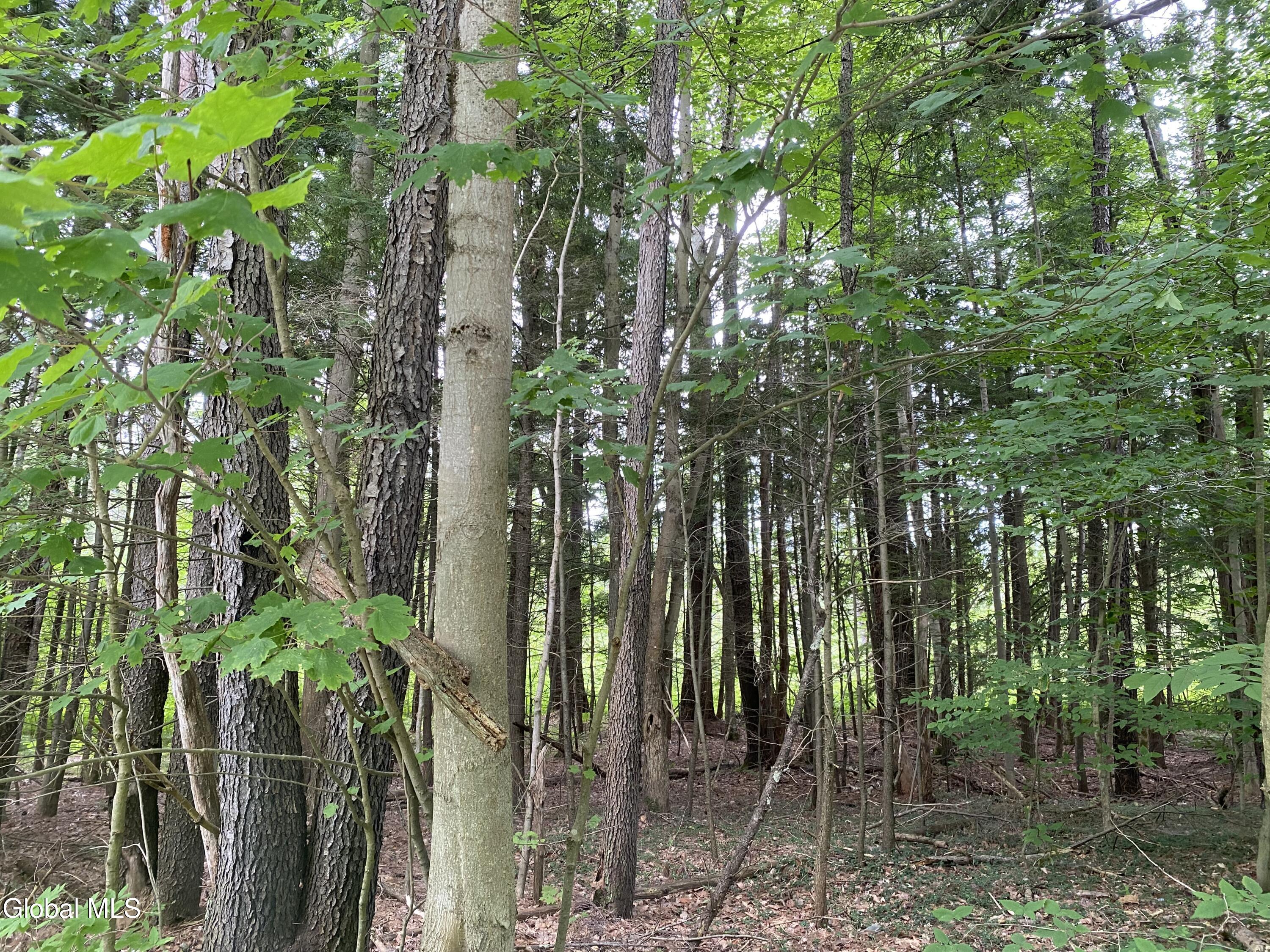 L43 State Highway Fort Plain, NY 13339 - Photo 5 of 12 IMG_5230