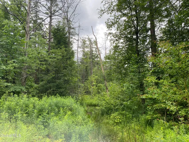 $32,000 | L43 State Highway, Fort Plain, NY 13339