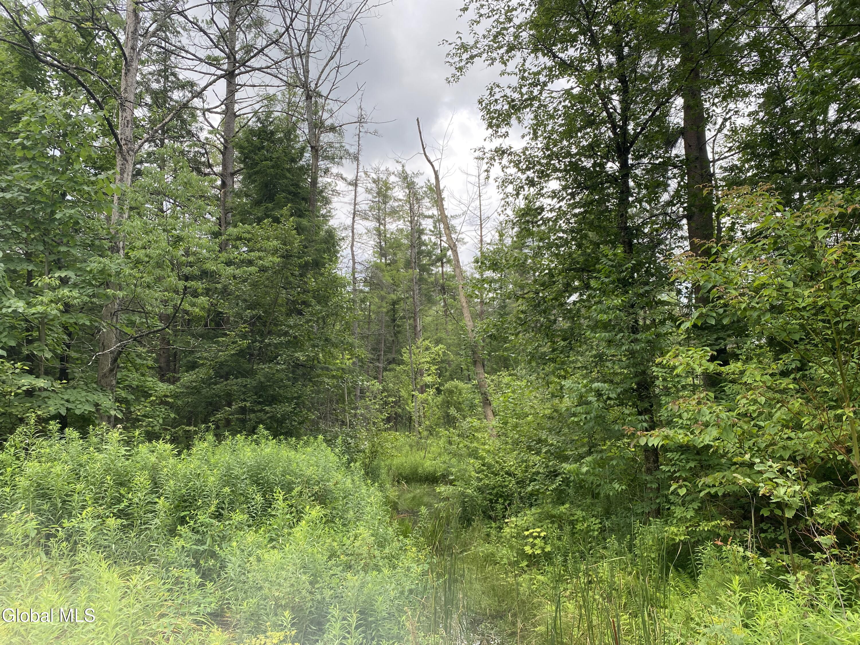 L43 State Highway Fort Plain, NY 13339 - Photo 6 of 12 IMG_5231