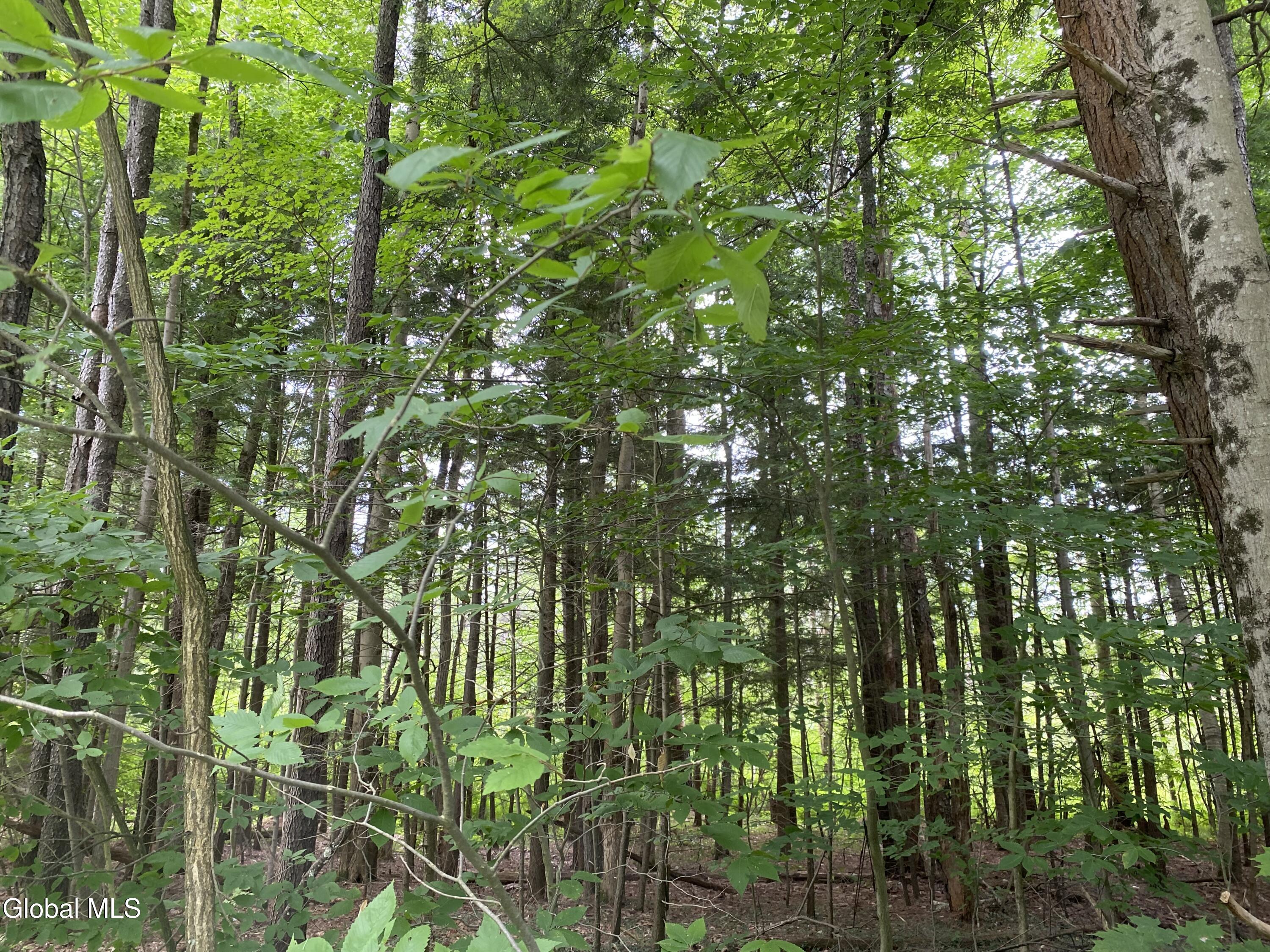 L43 State Highway Fort Plain, NY 13339 - Photo 7 of 12 IMG_5229