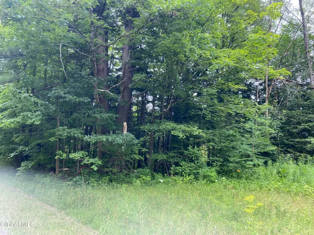 $32,000 | L43 State Highway, Fort Plain, NY 13339