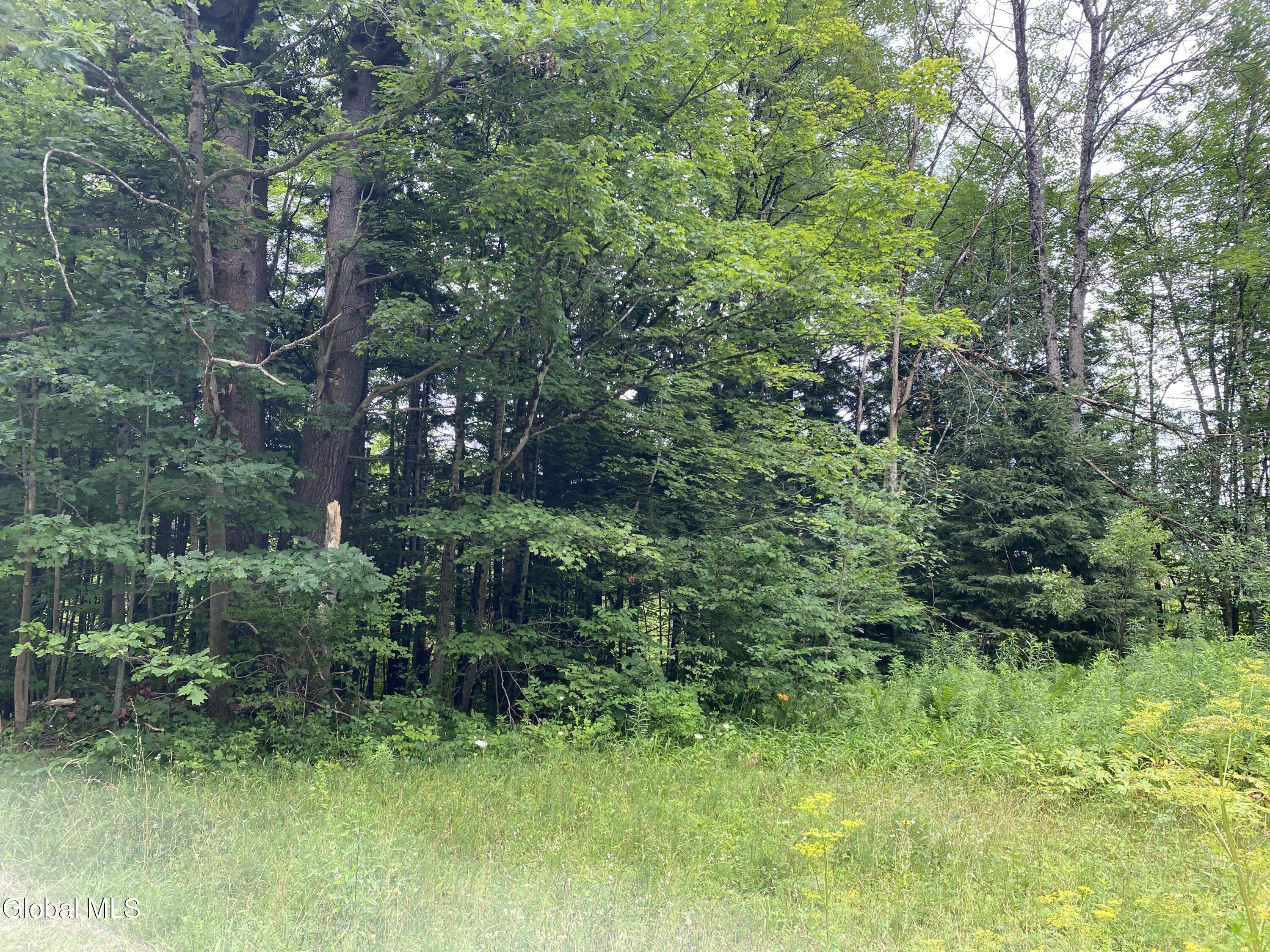 L43 State Highway Fort Plain, NY 13339 - Photo 9 of 12 IMG_5226