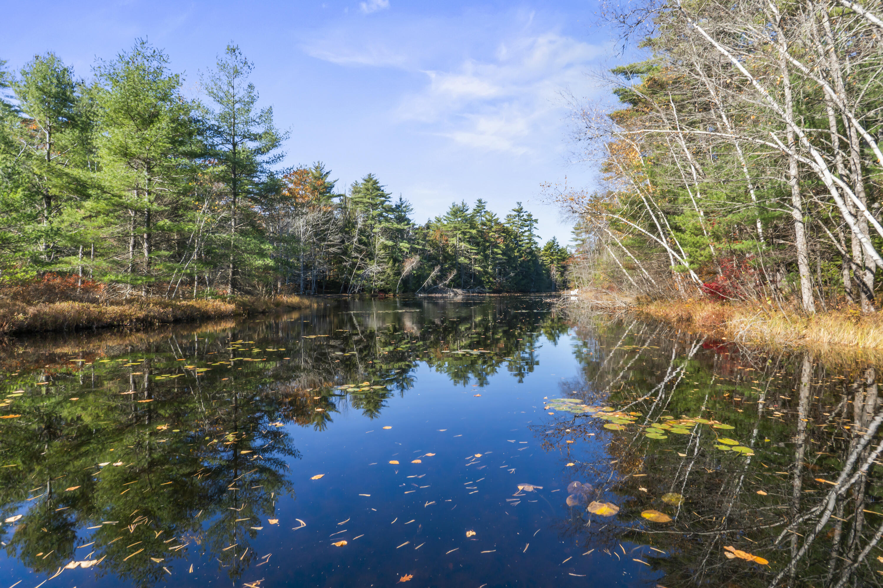 50 Island Road Limerick, ME 04048 - Photo 39 of 50 50 Island Rd_148
