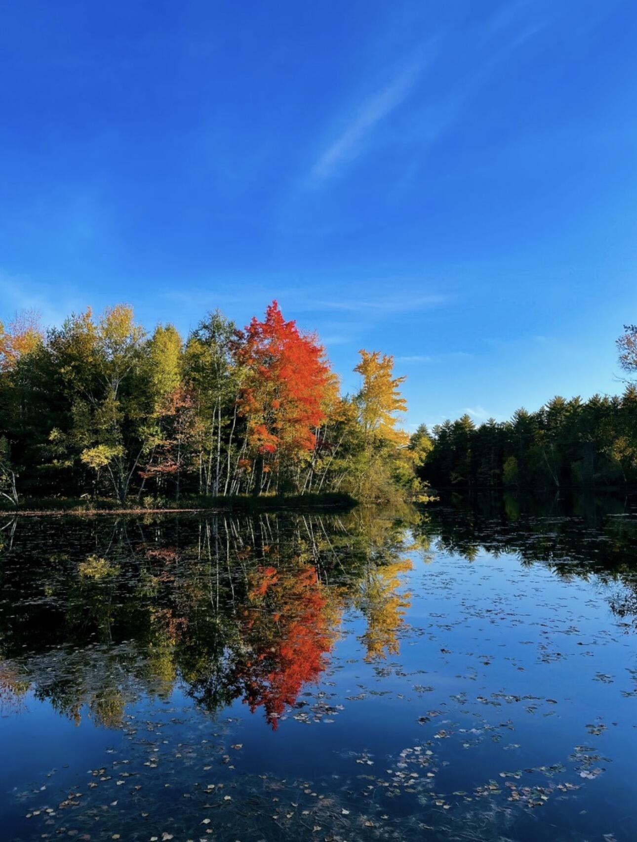 50 Island Road Limerick, ME 04048 - Photo 49 of 50 IMG_8164