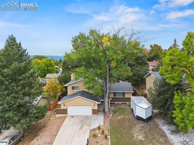 a view of a backyard with fountain plants and large tree