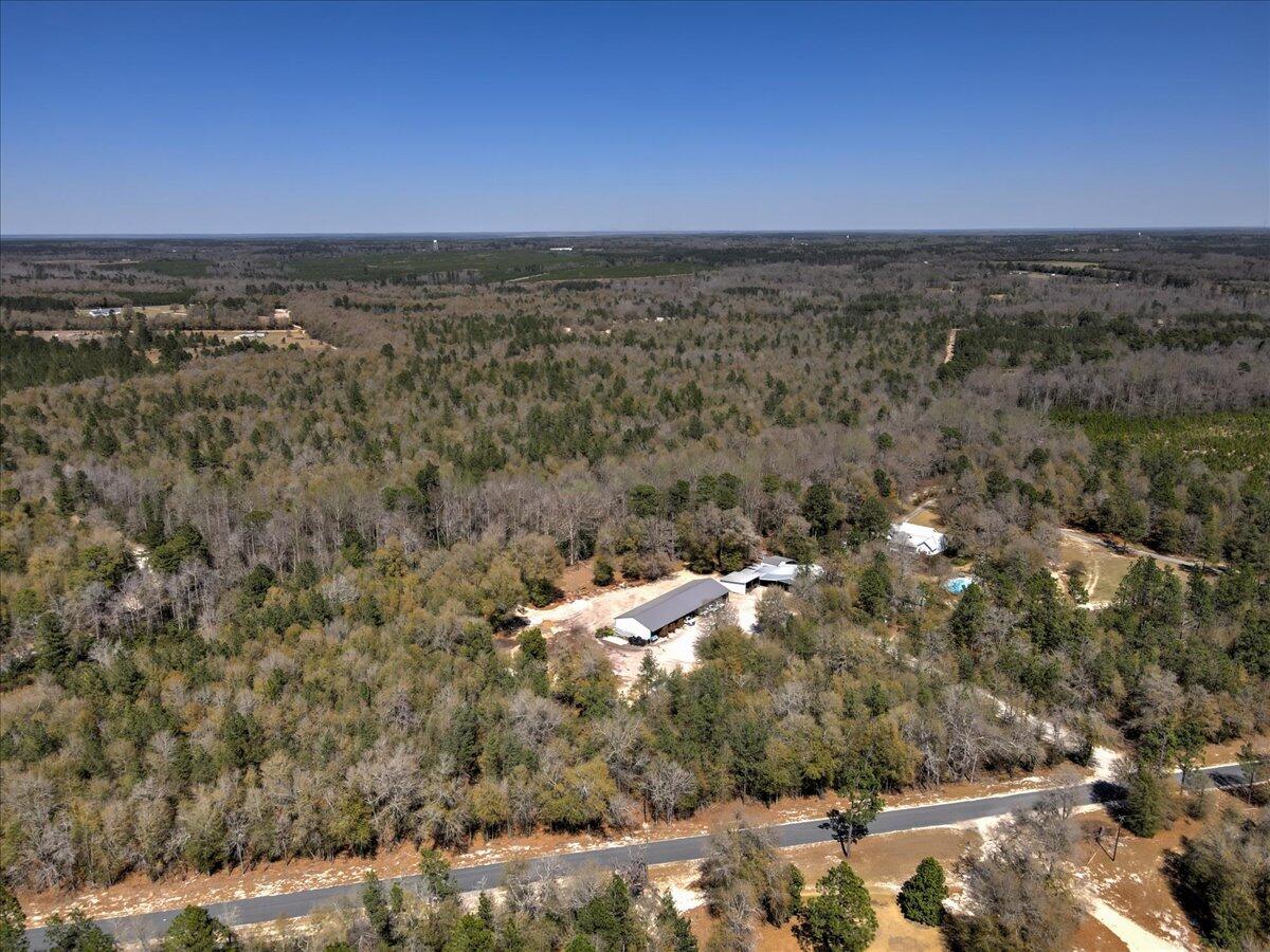 40.07-acre Tanglewood Road Williston, SC 29853 - Photo 9 of 9