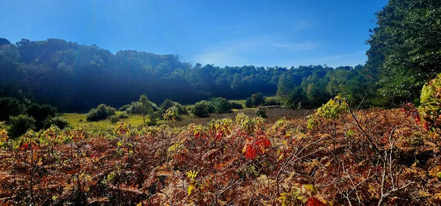 $285,000 | West Grant Road, Shelby, MI 49455