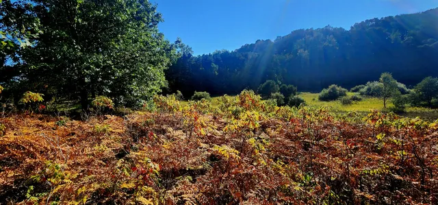 $285,000 | West Grant Road, Shelby, MI 49455