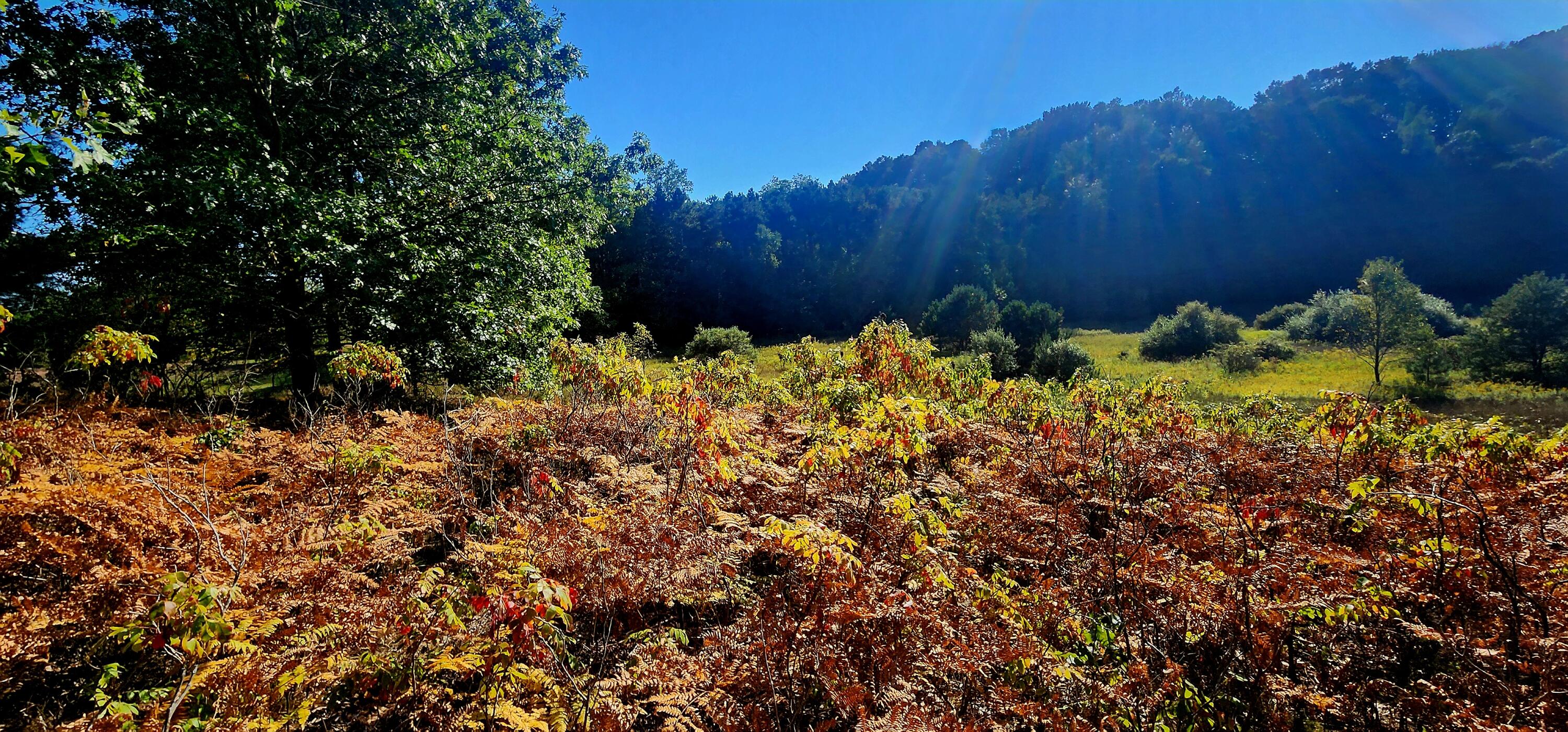 West Grant Road Shelby, MI 49455 - Photo 12 of 23 W Grant Rd
