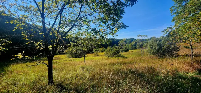 $285,000 | West Grant Road, Shelby, MI 49455