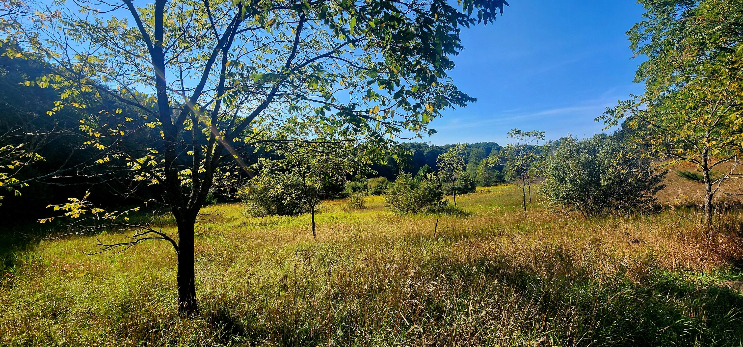 West Grant Road Shelby, MI 49455 - Photo 14 of 23 W Grant Rd