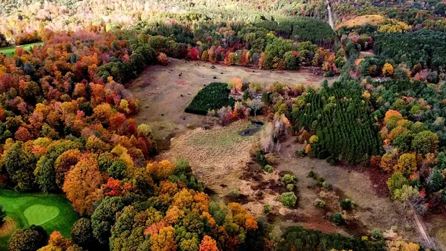 $285,000 | West Grant Road, Shelby, MI 49455