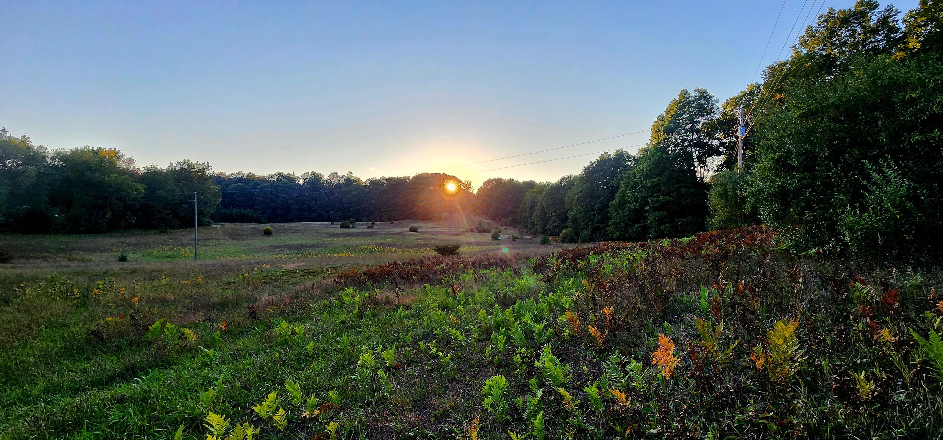 West Grant Road Shelby, MI 49455 - Photo 2 of 23 W Grant Rd