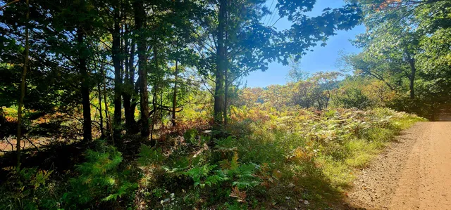 $285,000 | West Grant Road, Shelby, MI 49455