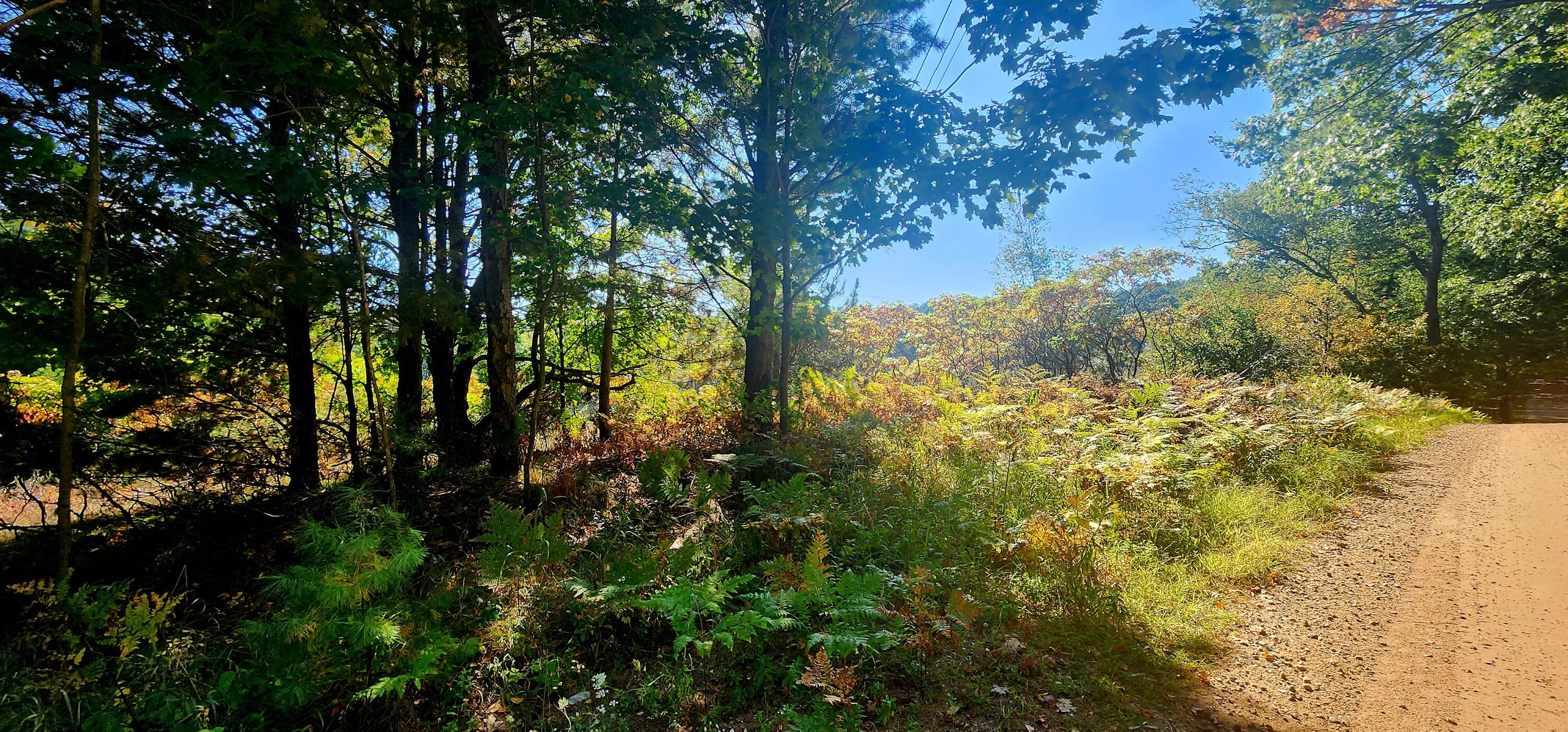 West Grant Road Shelby, MI 49455 - Photo 4 of 23 W Grant Rd