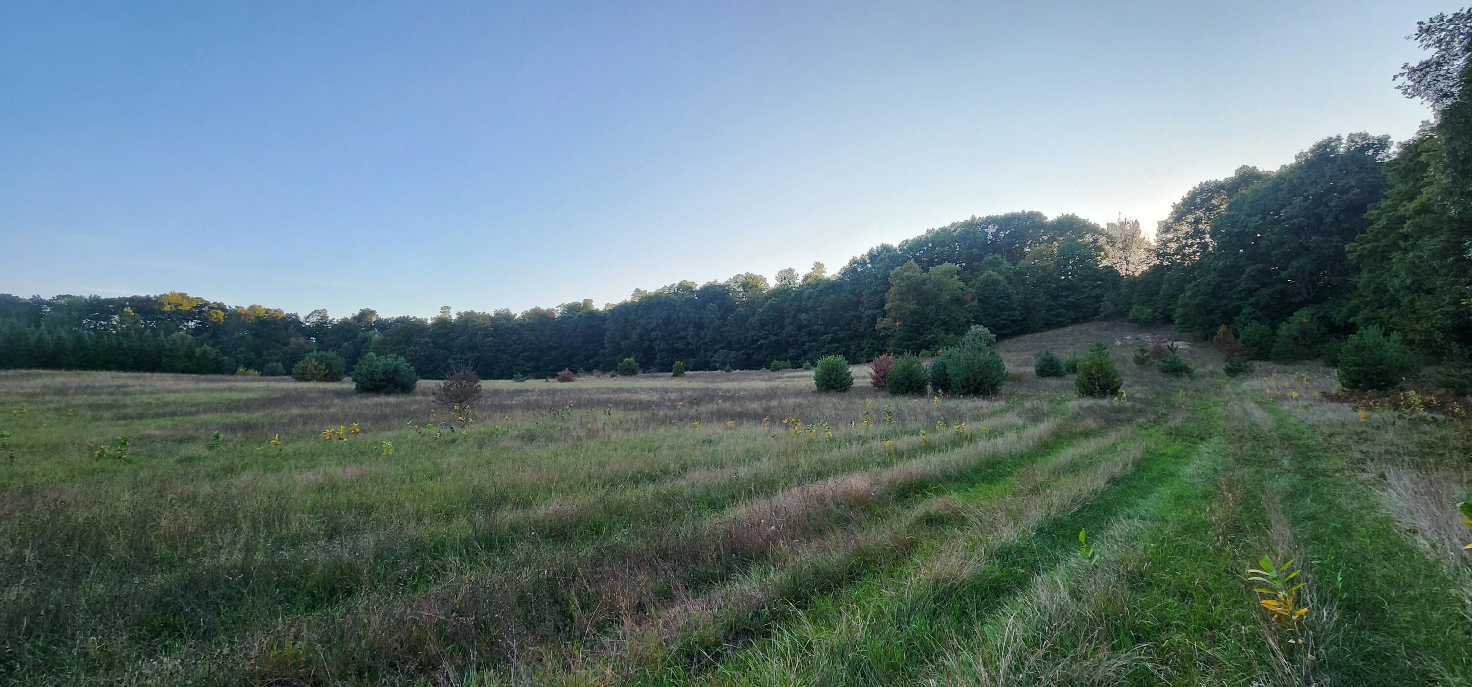 West Grant Road Shelby, MI 49455 - Photo 6 of 23 W Grant Rd