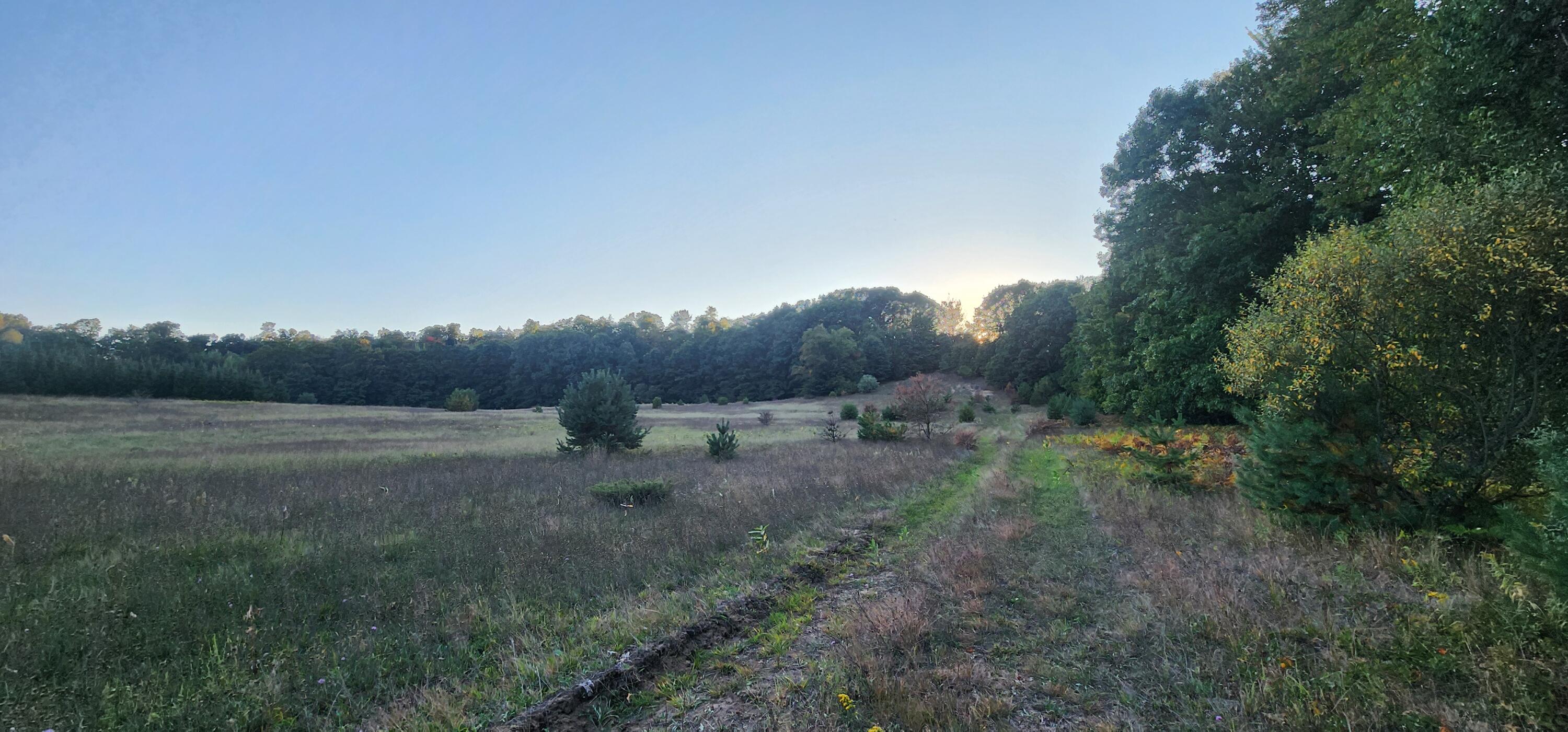 West Grant Road Shelby, MI 49455 - Photo 7 of 23 W Grant Rd