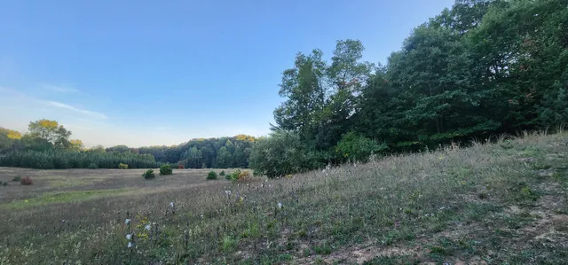 $285,000 | West Grant Road, Shelby, MI 49455