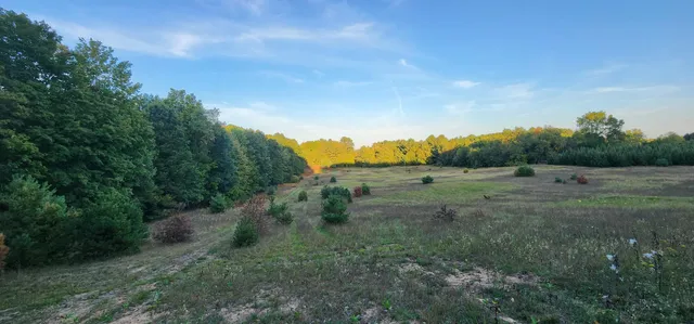 $285,000 | West Grant Road, Shelby, MI 49455