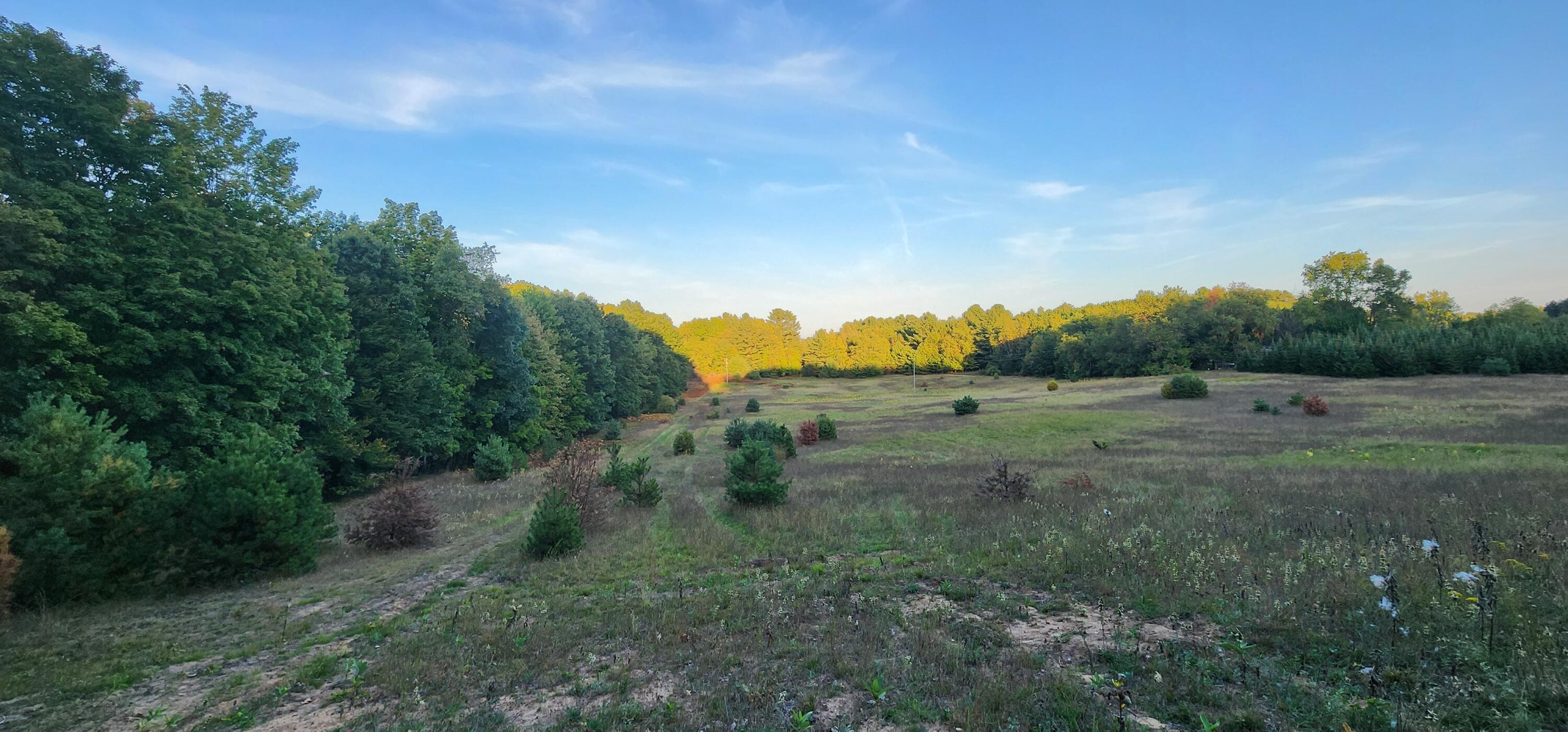 West Grant Road Shelby, MI 49455 - Photo 9 of 23 W Grant Rd