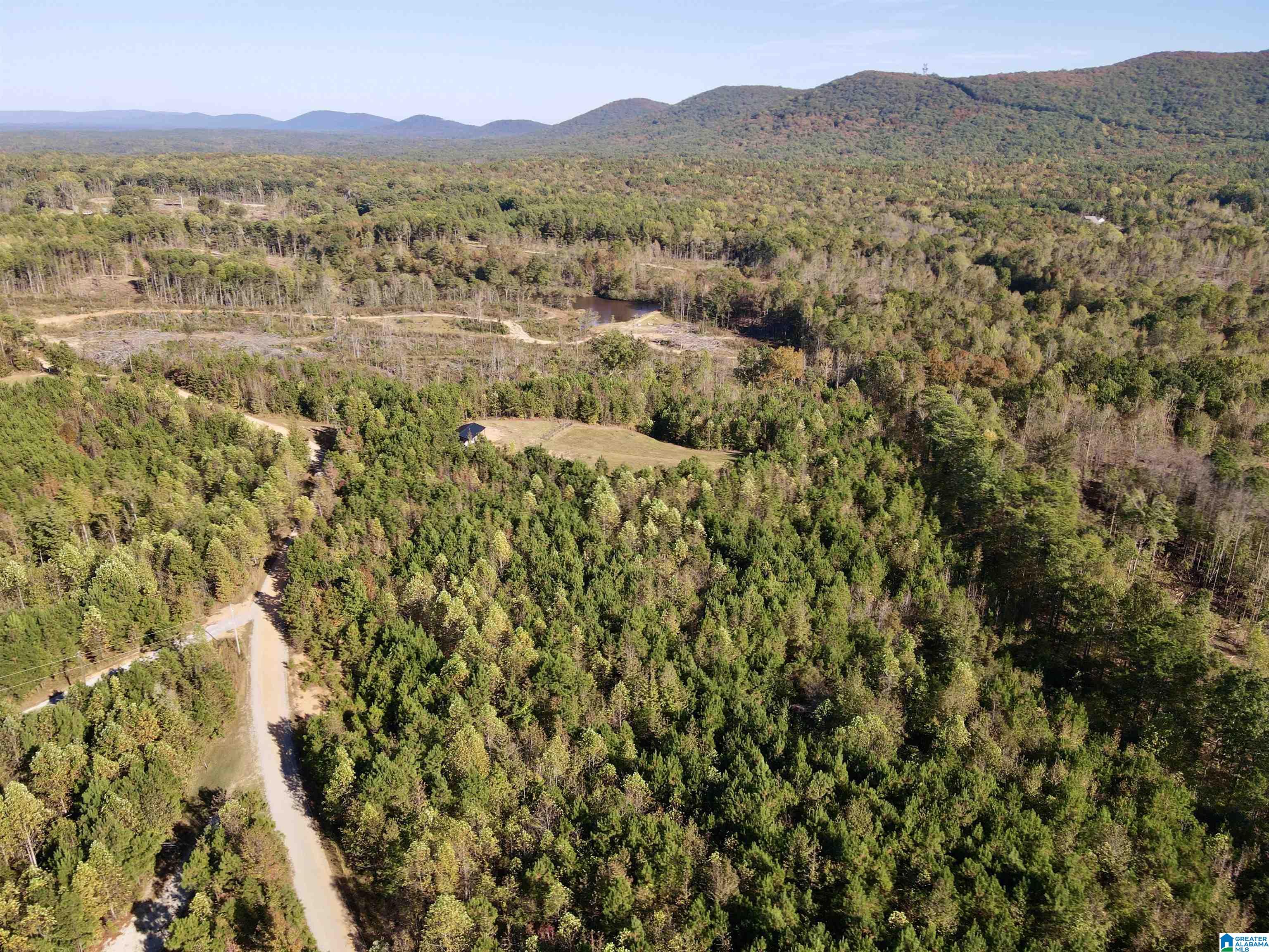 7070 Rendalia Motorway Talladega, AL 35160 - Photo 8 of 28
