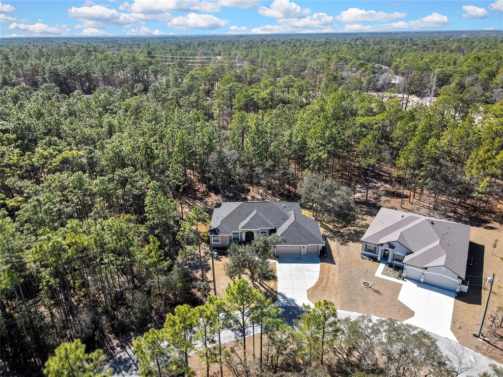 10 Milbark Court Homosassa, FL 34446 - Photo 44 of 56